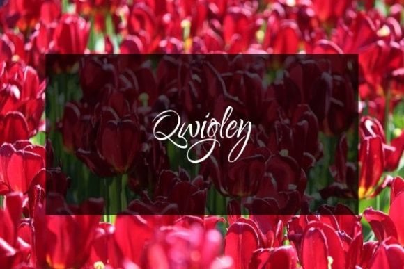 Qwigley: A Handwritten Font for Editorial Design