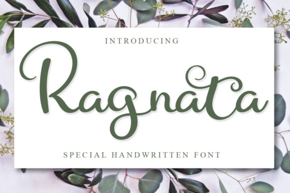 Ragnata: A Designer’s Honest Review of Script Amp’s Latest Release