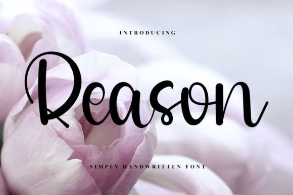 Reason Font: Elevate Your Brand Identity
