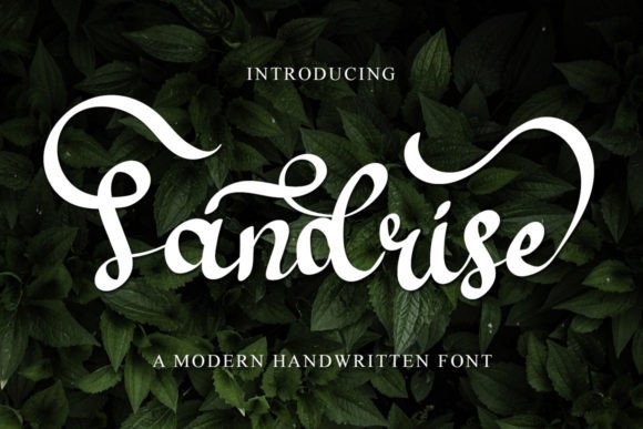 Sandrise: A Fresh Script Font for Modern Web Design
