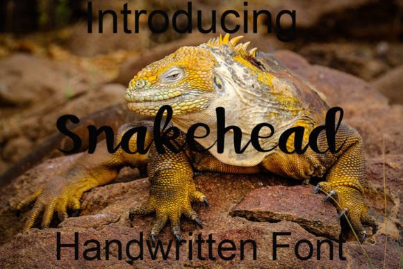 Snakehead Font: Elevate Your Brand Identity