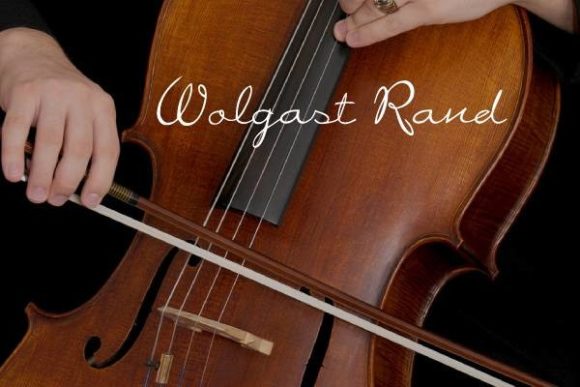 Wolgast Typeface Review: Elegant Handwritten Style